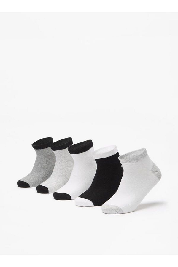 LBL by Shoexpress-Assorted Ankle Length Socks - Set of 5 1