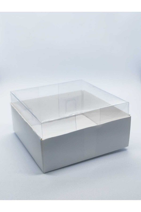 Skybox-50 Pieces 9x9x4 Acetate Box with Lid 1