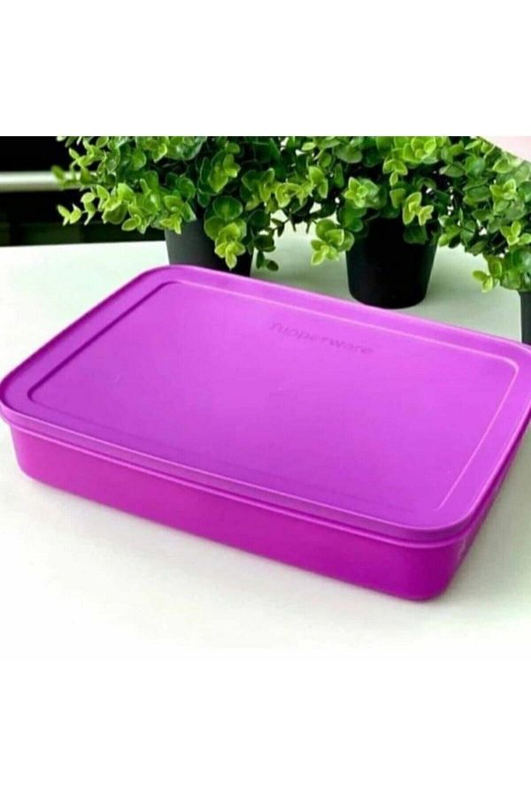 Tupperware-Alaska Series Deep Freezer Storage Container 1