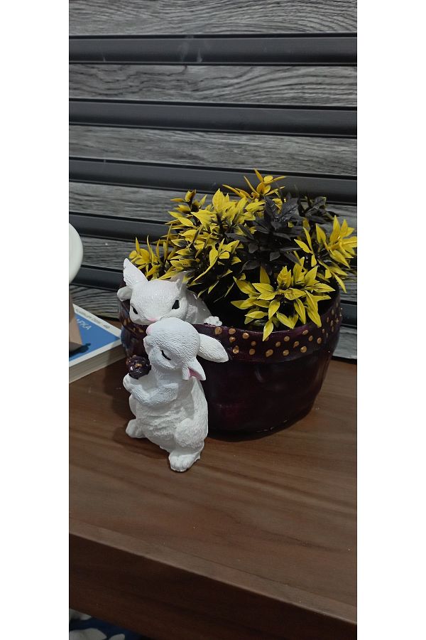 HUNATASARIM-14 cm Double Rabbit Organizer and Basket - Keychain (Diameter: 17 cm) 1