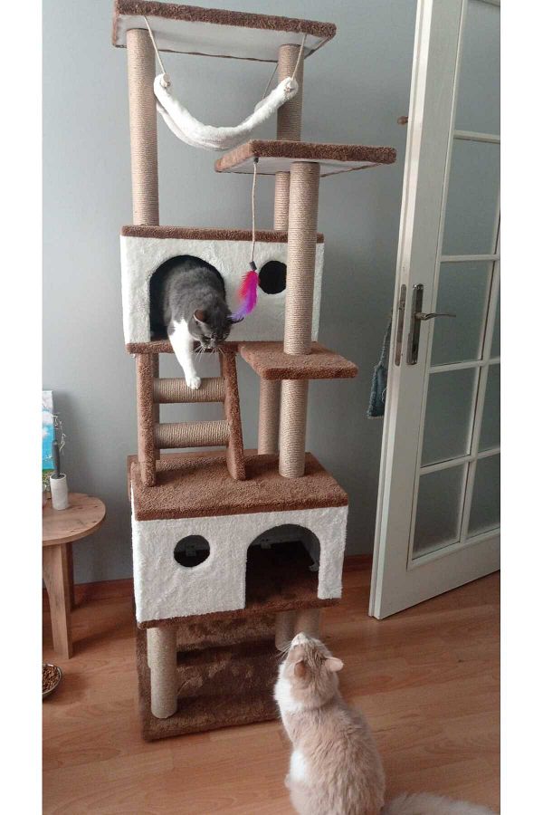 pethomealpi-Luxury Cat Scratching House and Play Platform - with Hammock and Nest 1