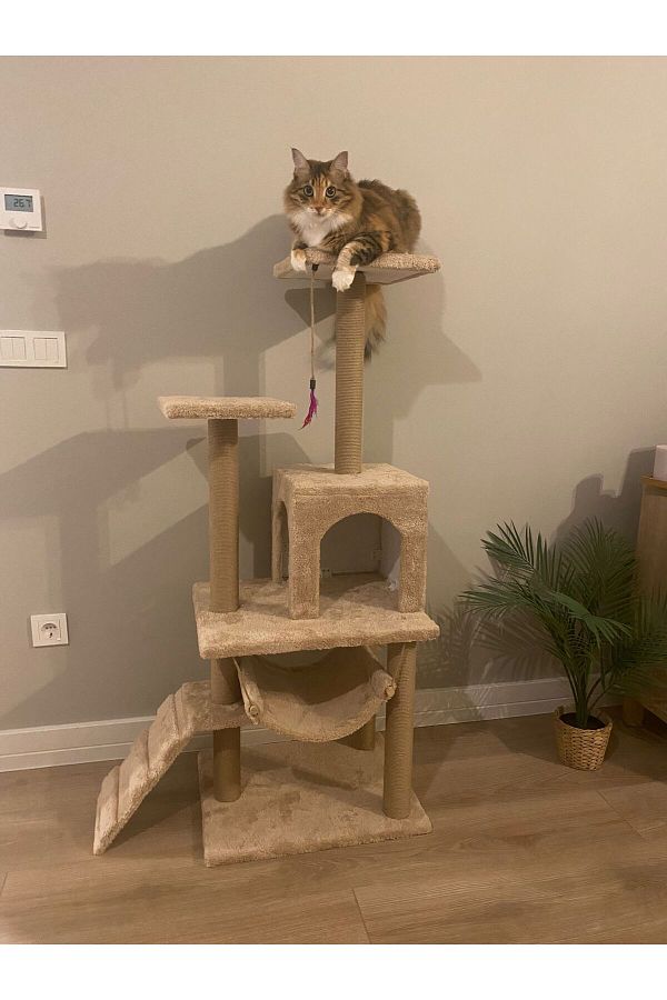 pethomealpi-Luxury Cat Scratching House and Play Platform - with Hammock and Nest 1