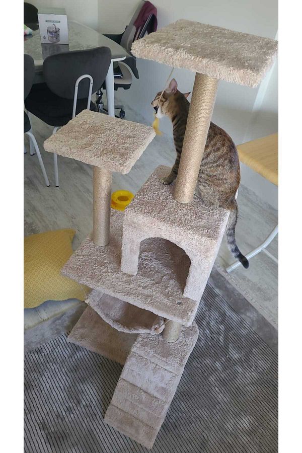 pethomealpi-Luxury Cat Scratching and Play Platform - with Hammock and Nest 1