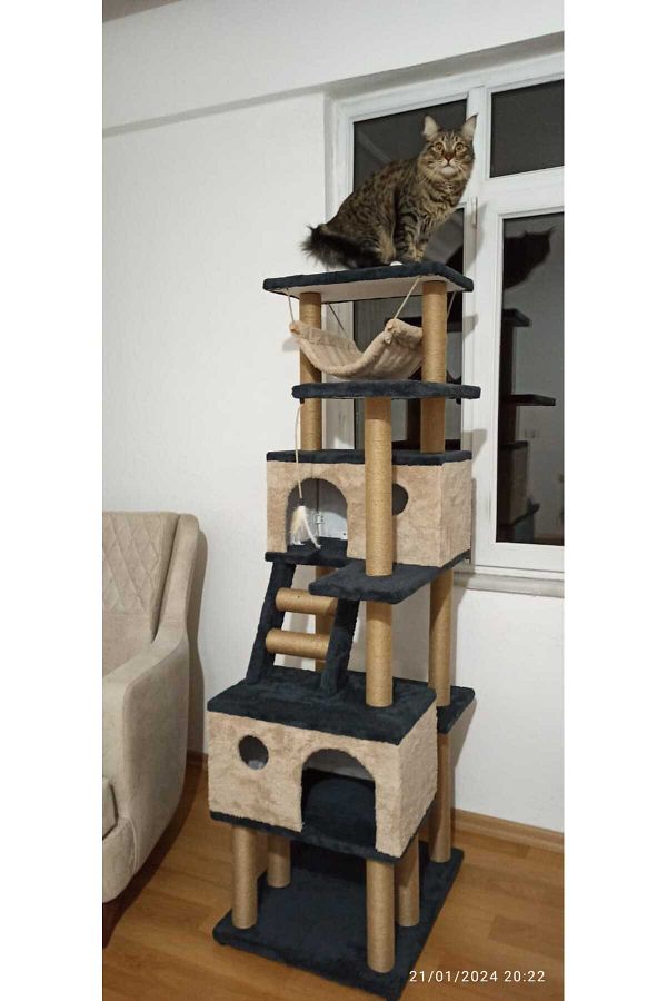 pethomealpi-Luxury Cat Scratching House and Play Platform - with Hammock and Nest 1