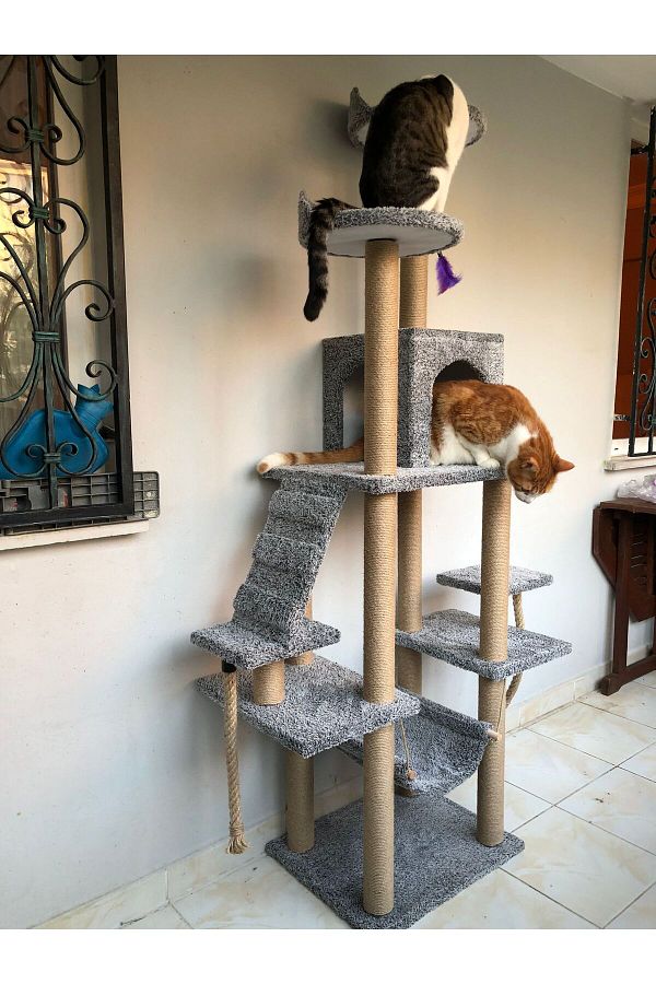 pethomealpi Luxury Cat Scratching and Play Platform with Hammock and Nest Trendyol