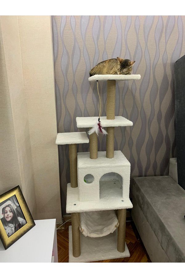 pethomealpi-Luxury Cat Scratching and Play Platform - with Hammock and Nest 1