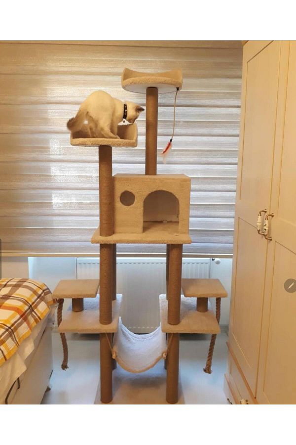 pethomealpi-Luxury Cat Scratching and Play Platform - with Hammock and Nest 1