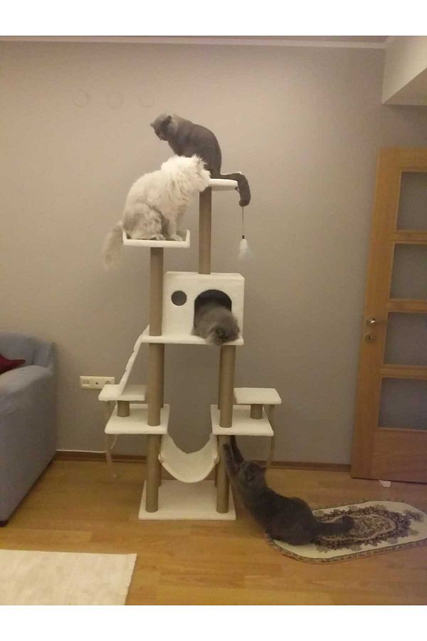 pethomealpi-Luxury Cat Scratching House and Play Platform - with Hammock and Nest 1