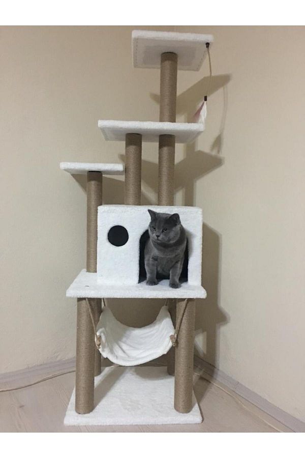 pethomealpi-Luxury Cat Scratching House and Play Platform - with Hammock and Nest 1