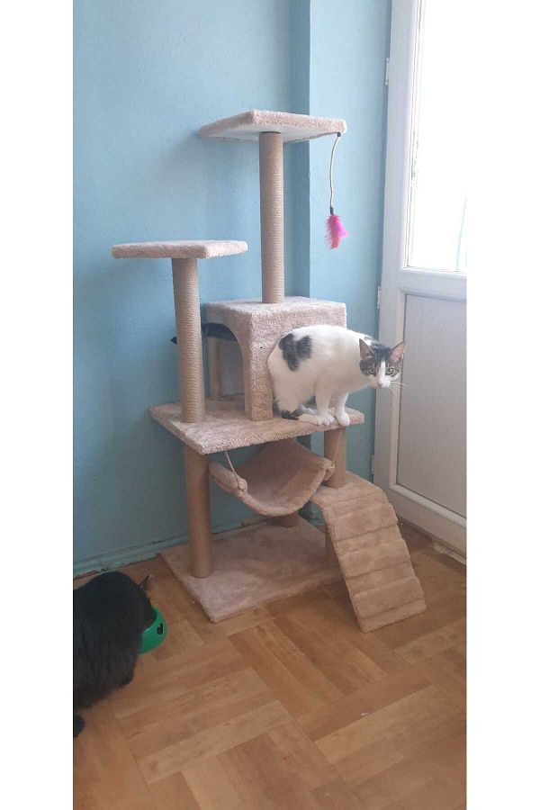 pethomealpi-Luxury Cat Scratching House and Play Platform - with Hammock and Nest 1