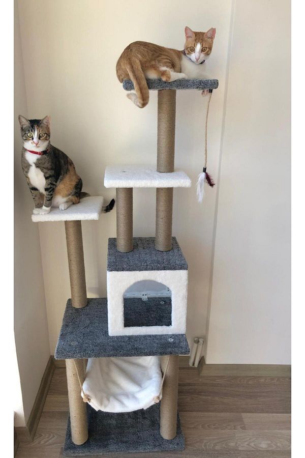 pethomealpi-Luxury Cat Scratching and Play Platform - with Hammock and Nest 1