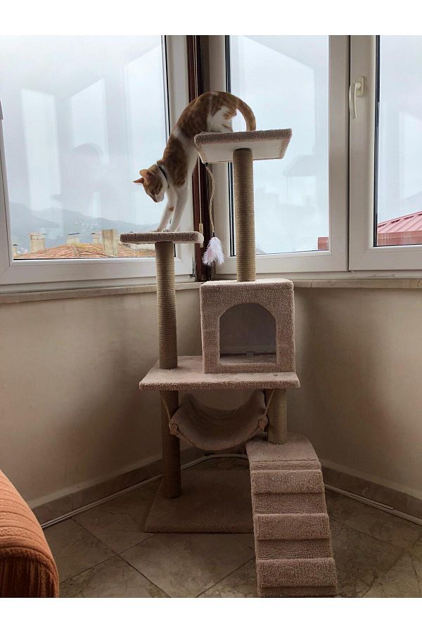 pethomealpi-Luxury Cat Scratching House and Play Platform - with Hammock and Nest 1