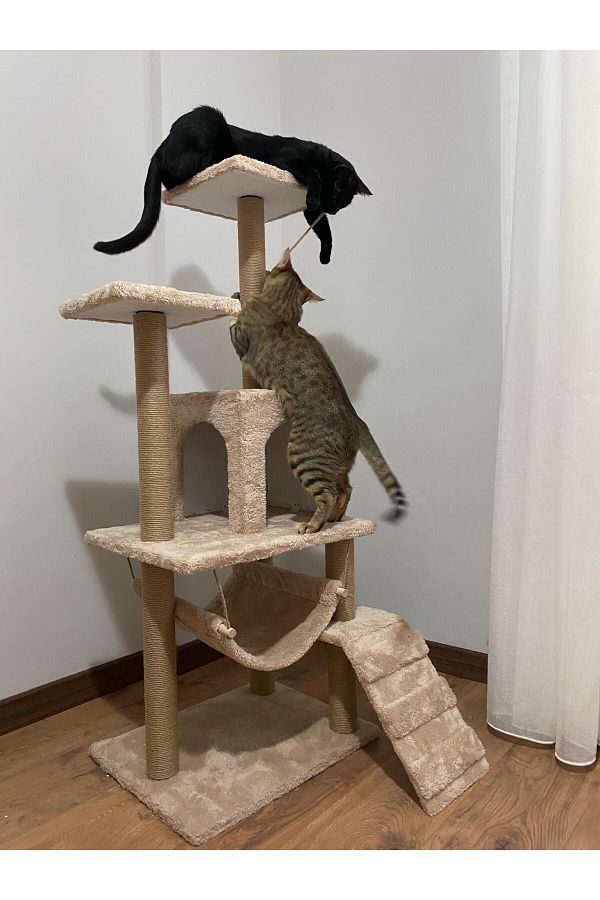 pethomealpi-Luxury Cat Scratching House and Play Platform - with Hammock and Nest 1