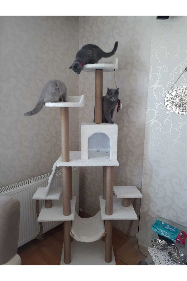 pethomealpi-Luxury Cat Scratching and Play Platform - with Hammock and Nest 1