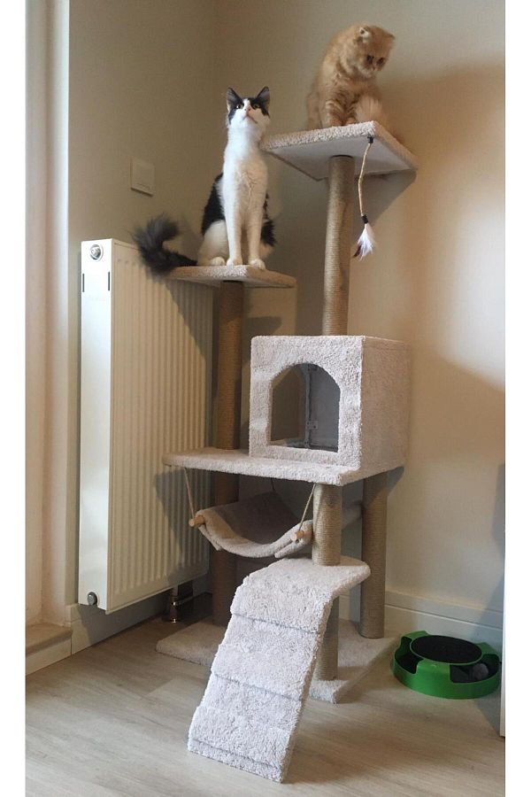 pethomealpi-Luxury Cat Scratching and Play Platform - with Hammock and Nest 1