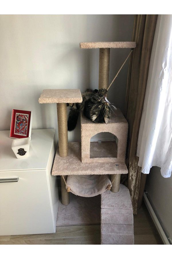 pethomealpi-Luxury Cat Scratching and Play Platform - with Hammock and Nest 1
