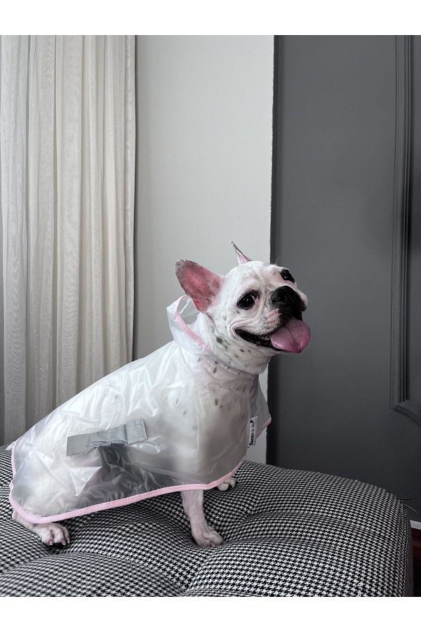 Bambo pet store Transparent Adjustable Dog Raincoat Trendyol