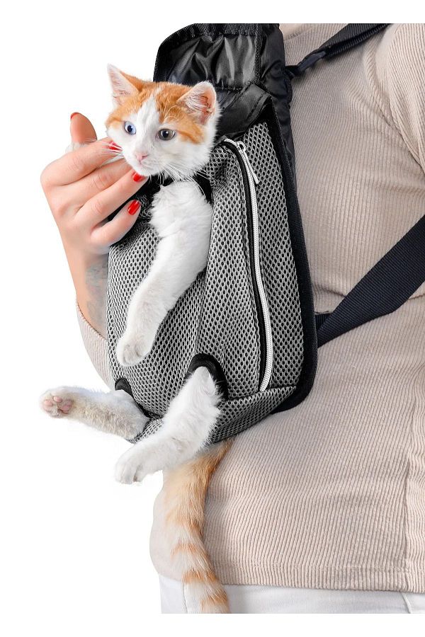 Tiny backpack for cat on sale
