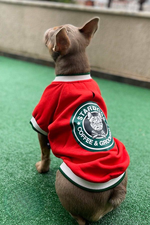 salya store Dog Apparel Dog Sweatshirt Stardogs College Jacket Trendyol