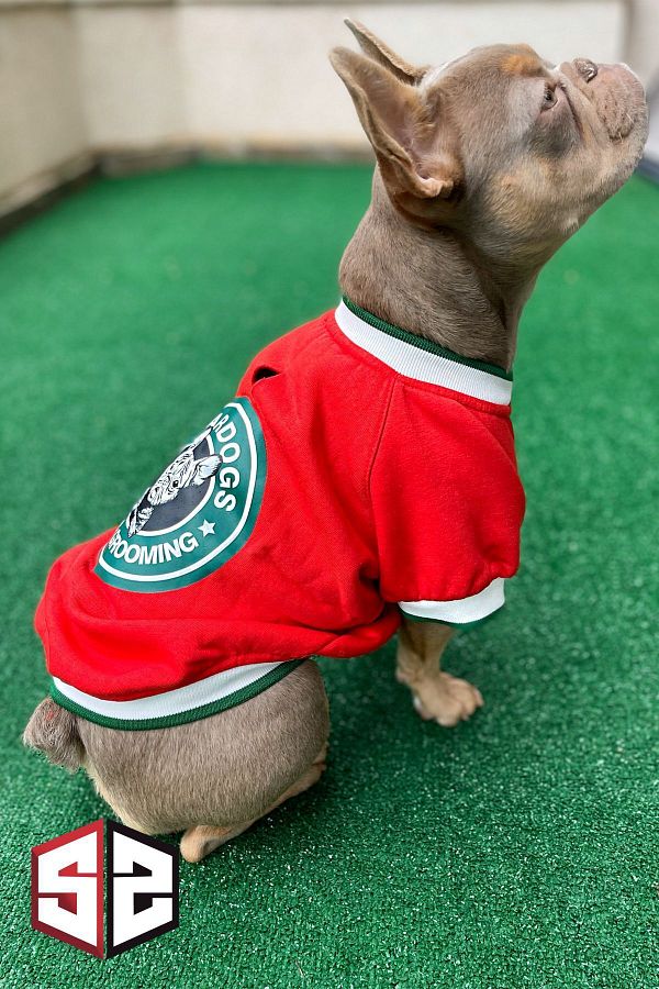 salya store Dog Apparel Dog Sweatshirt Stardogs College Jacket Trendyol