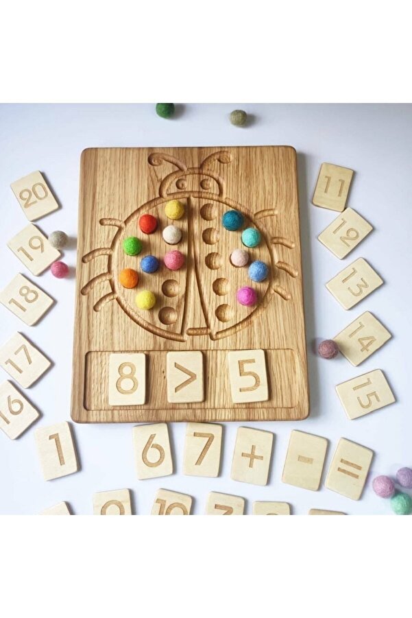MartinaCole Montessori Matematik Uğur Böceği Matematik Tahtası 1-20 Sayı Kartları Seti, Çocuklar Için