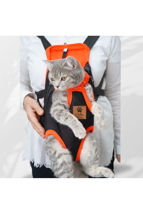 Cat in baby carrier clearance