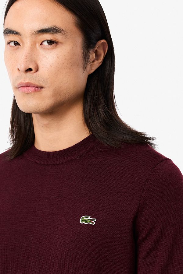 Lacoste sweatshirt bordeaux on sale