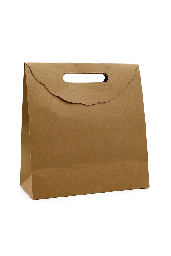 reprodesign-24 X 25 Envelope Model Adhesive Cardboard Bag - 1 Piece, Gift Box, Book Size 1