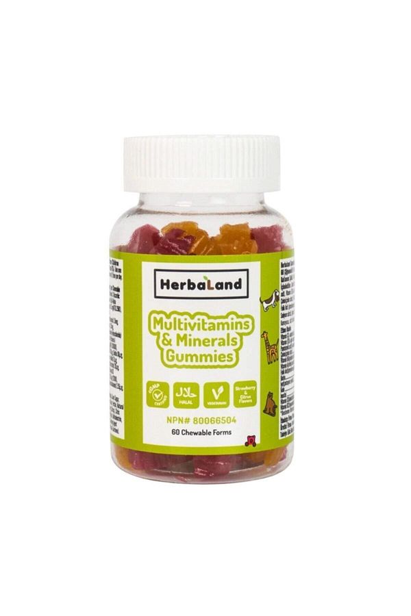 Herbaland-60 Pieces of Multivitamin and Mineral Chewable Form for Children 1