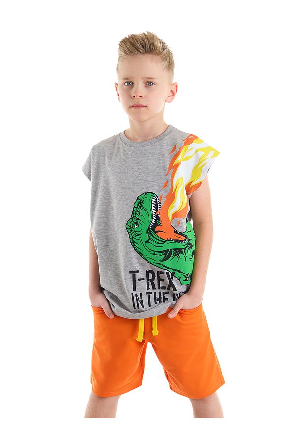 MSHB&G-Letni zestaw T-shirt i spodenki dla chłopca bez rękawów – T-Rex Flame 1