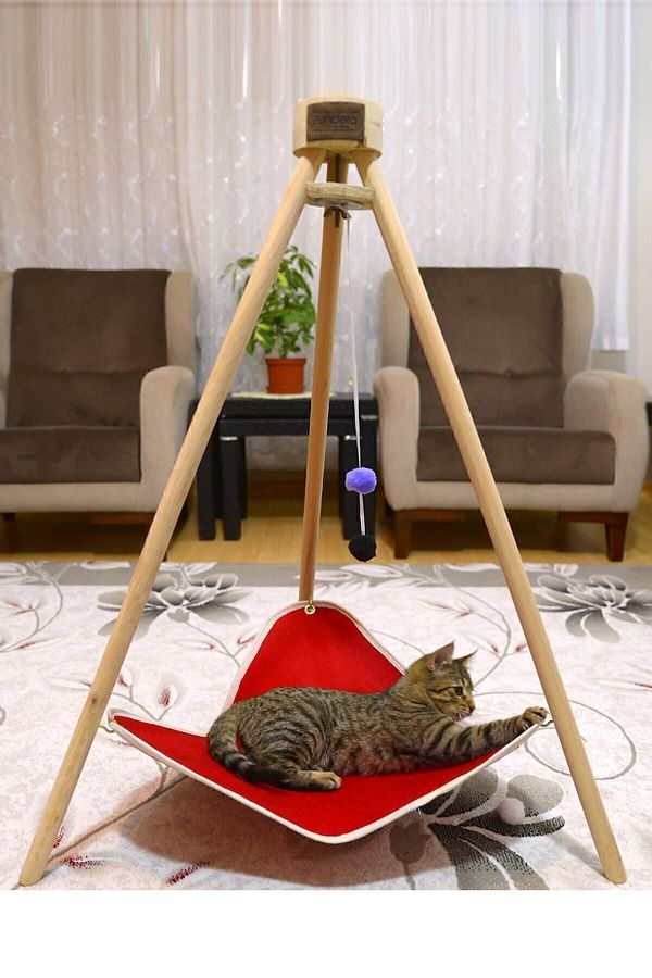 Pyramid cat bed outlet