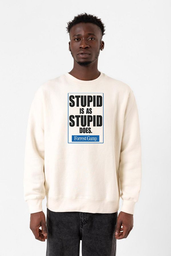 Tshirthane-Forrest Gump Stupid Is As Stupid Does Ανδρικό φούτερ Ecru 2ip 1