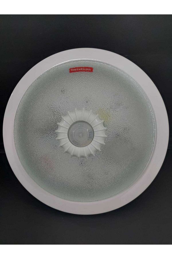 Netelsan-Ceiling Light with Sensor 1
