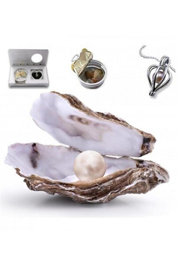 Real oyster pearl necklace online