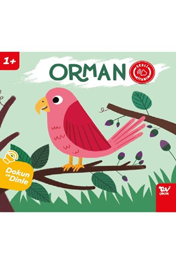 Türkiye Diyanet Vakfı Yayınları Dokun Ve Dinle Sesli Kitabım Orman - Türkiye Diyanet Vakfı Yayınları