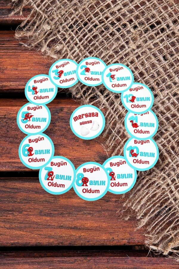 Özmur Concept Aylık Bebek Ve Hamile Gelişimi Fotoğraf Çekim Sticker Seti