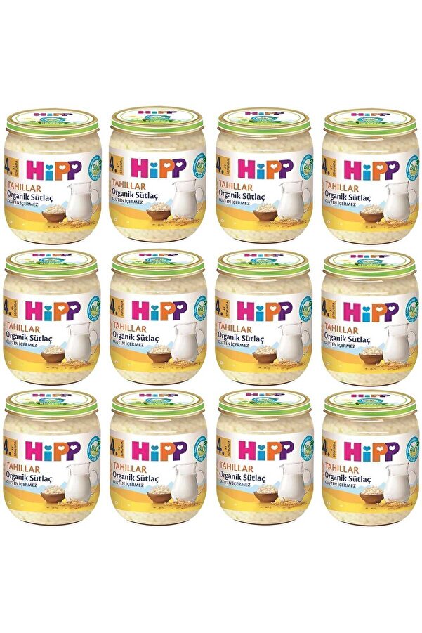 Hipp Kavanoz Maması Organik Sütlaç 125 gr 12 Adet