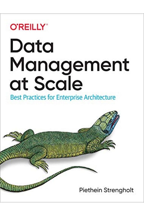 Wiley-Data Management At Scale Best Practices For Enterprise Architecture 1
