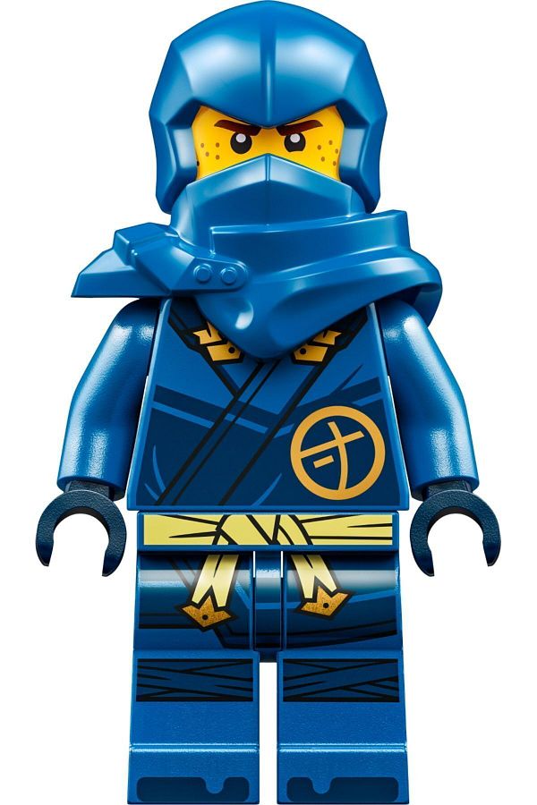Dragon jay on sale