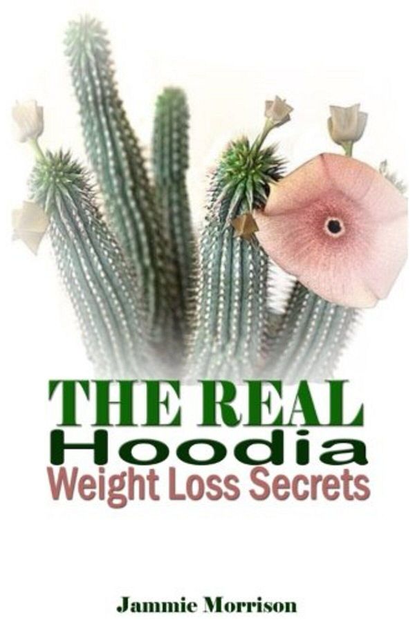 Ingram-The Real Hoodia Weight Loss Secrets And About Everything Else You Could Should And Would Ever Want 1