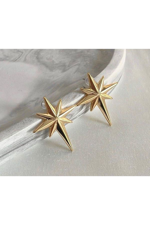 MEECY-Star Patterned Pole Earrings 1
