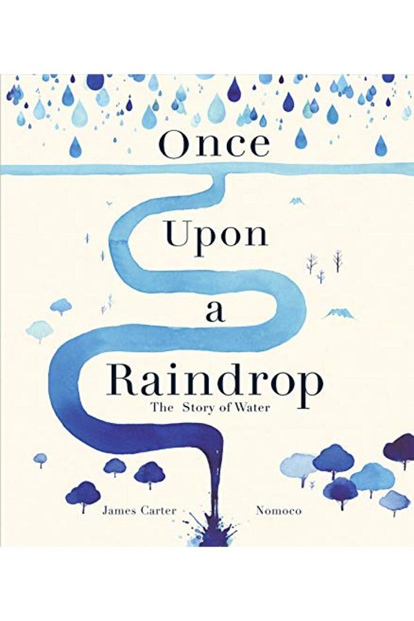 Macmillan Distribution-Once Upon A Raindrop The Story Of Water 1