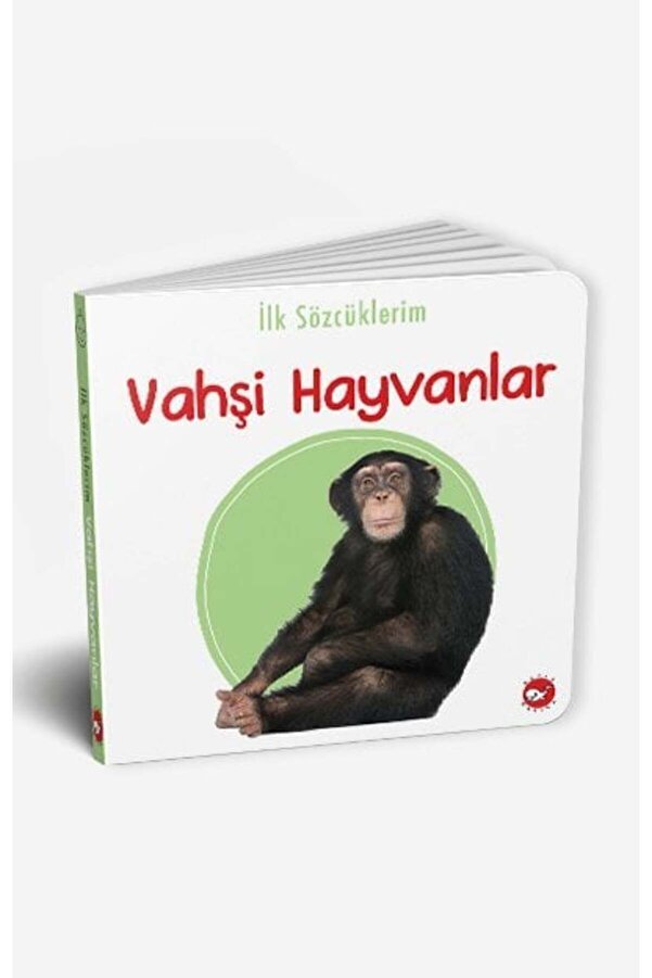 Beyaz Balina Yayınları İlk Sözcüklerim -Vahşi Hayvanlar Beyaz Balina Yayınları Kolektif Kitabı 18 Sayfa Beyaz Balina Yayınl