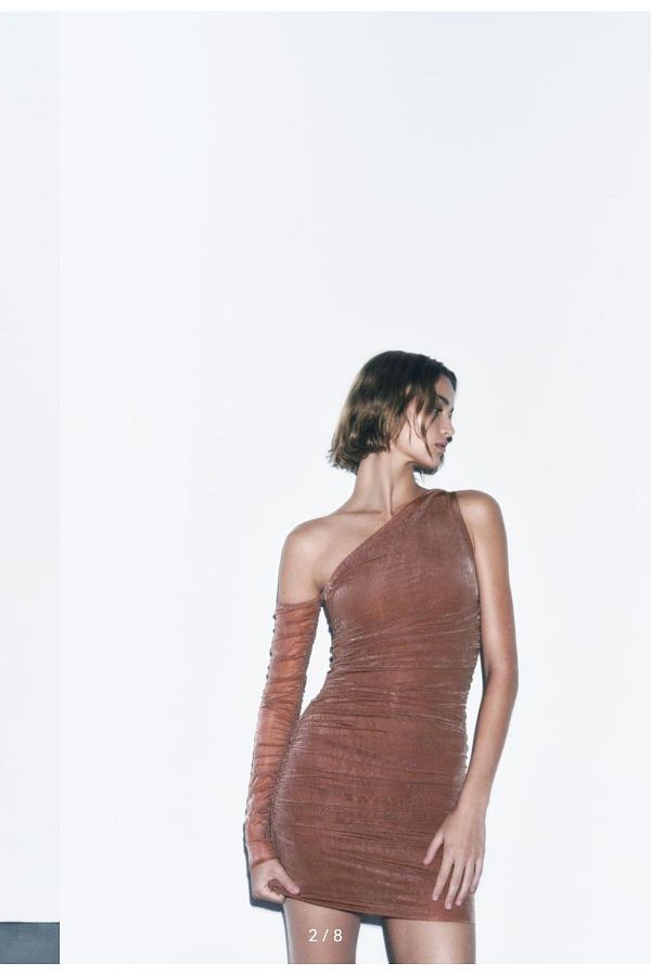 Zara organza mini dress 2025