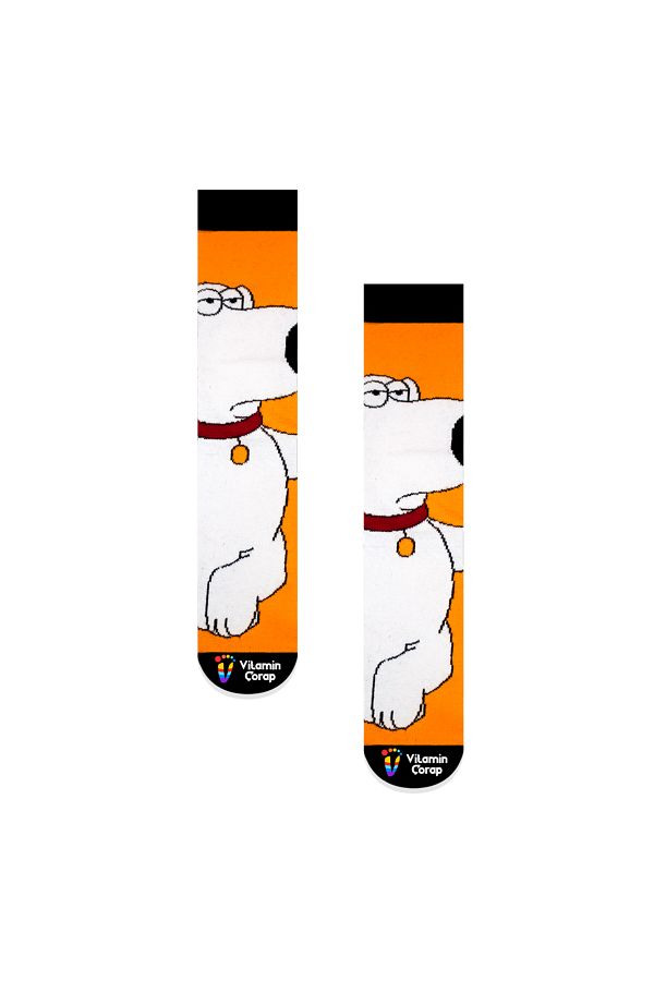 Vitamin Çorap-Family Guy Brian Griffin Colorful Socks 1