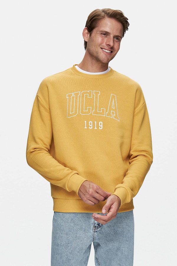 Ucla embroidered sweatshirt 2025