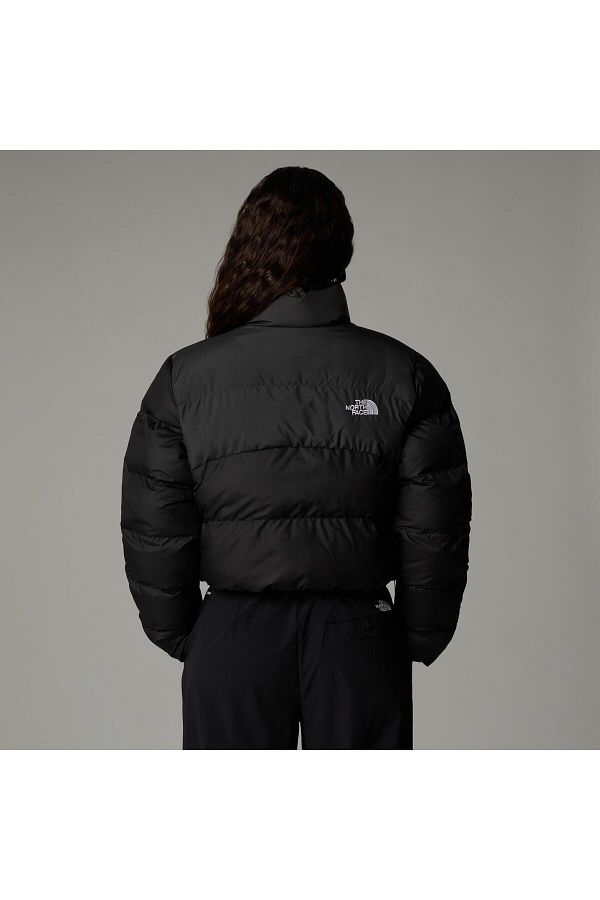 Cropped north face coat cheap