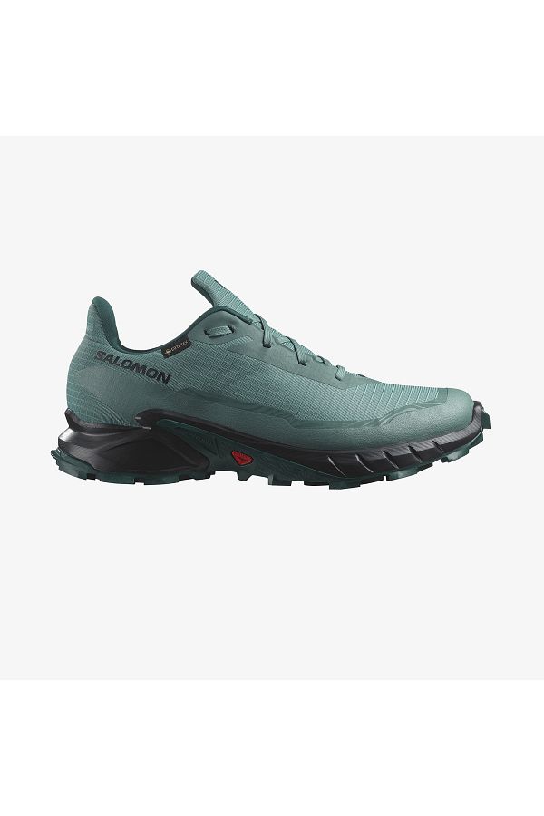 Salomon-Férfi futócipők Alphacross 5 Gtx 1