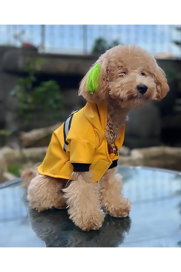 Petite yellow raincoat new arrivals