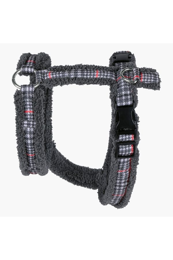 Home Box-Canine Regal Harness - Small 1